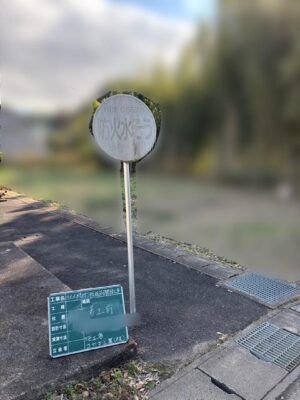 image6.jpeg